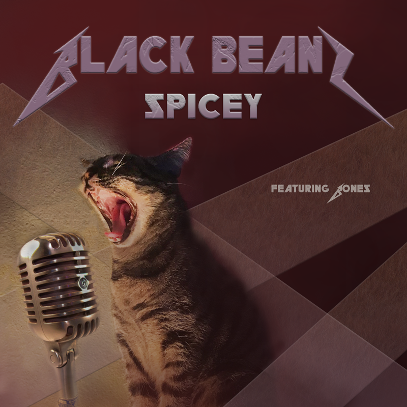 Aggressive Biscuits album cover